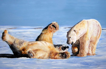 Jegesmedvék  / Polar bears_2